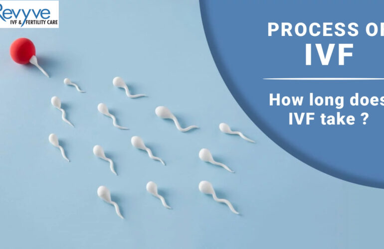 IVF Process Revyve IVF