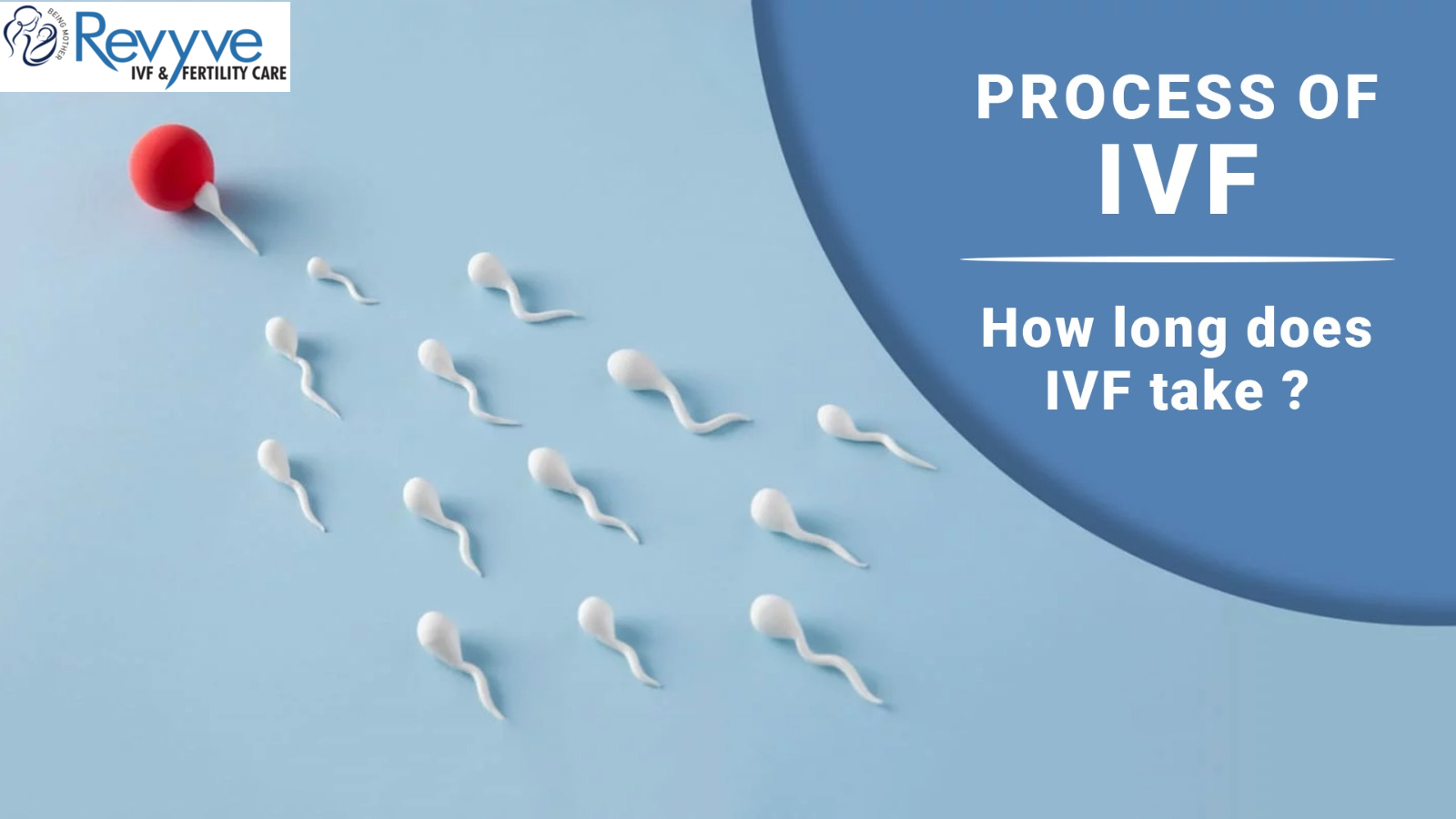 IVF Process Revyve IVF