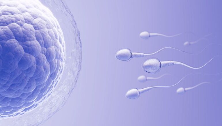 Best Fertility clinic in Faridabad